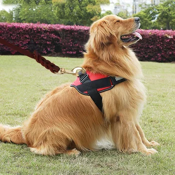Промоция! 2M дълго кожа плетен домашен любимец куче разходка сцепление яка каишка обучение каишка олово